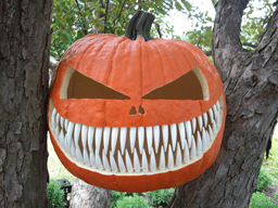 Pumpkin teeth photo
