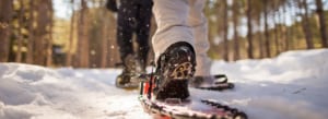 Snowshoeing during the winter | Nine Mile Forest in Marathon County, Wisconsin